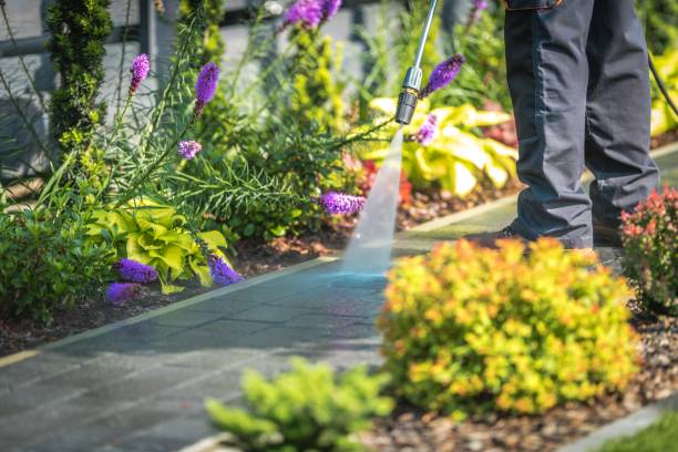 Professional Pressure Washing Services in Montebello, CA